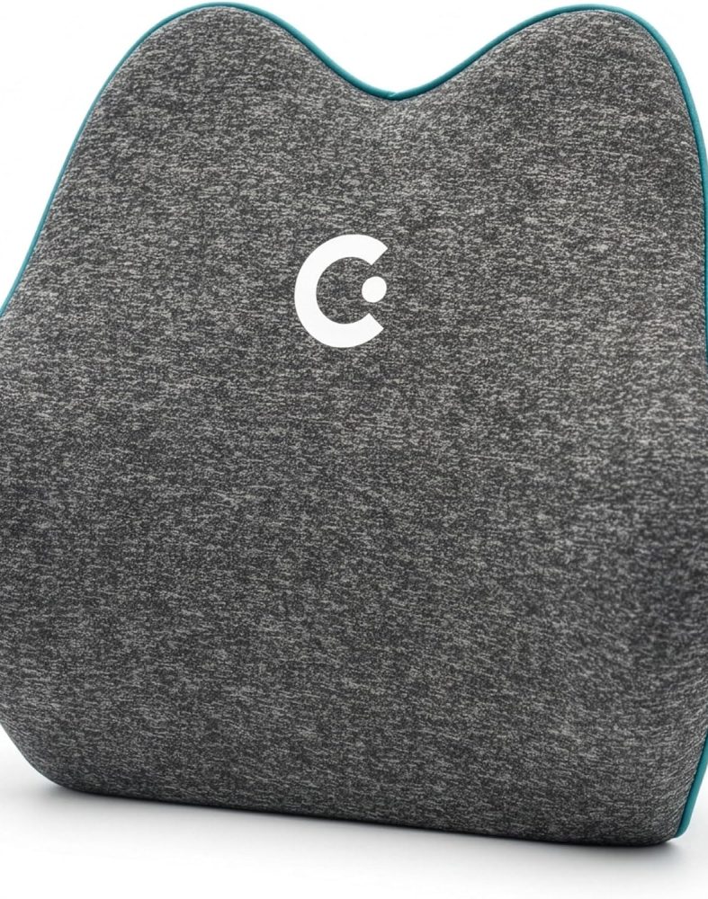 Cubii Cushii V2 Back Support Cushion, Lumbar Pillow, Office Chair, Black
